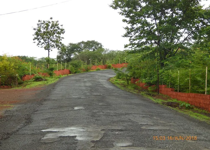 Pinacle Han Ānjarle