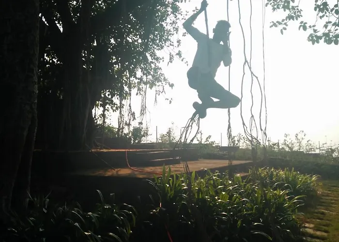 Pinacle Han Ānjarle