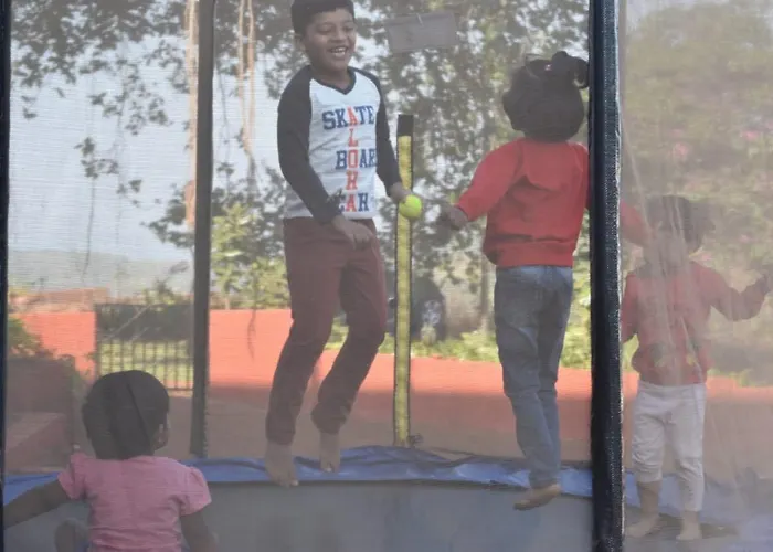 Pinacle Han Ānjarle